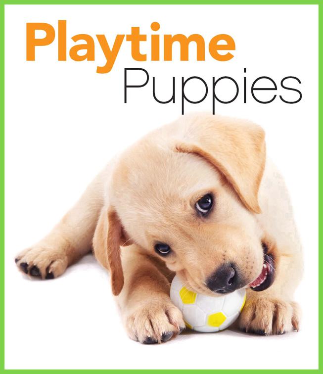 Playtime Puppies