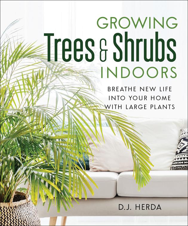 Growing Trees &amp; Shrubs Indoors