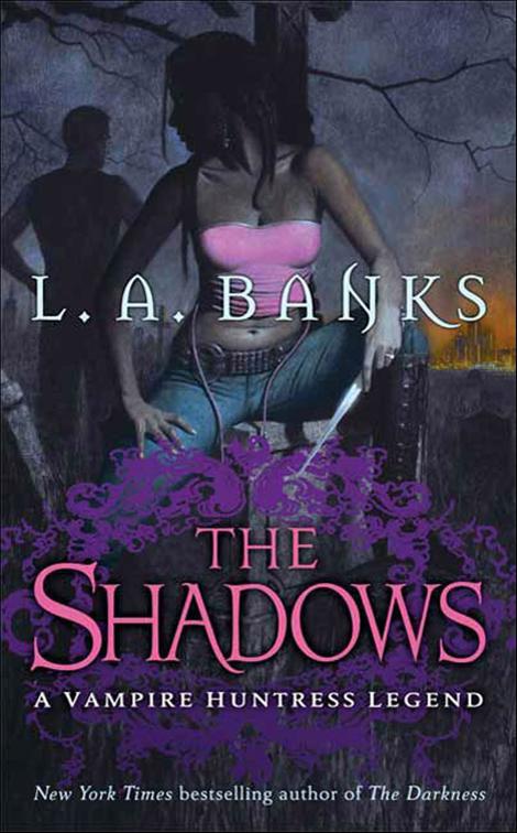 Shadows, Vampire Huntress Legend Series