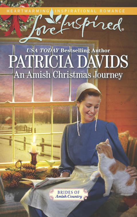 Amish Christmas Journey, Brides of Amish Country