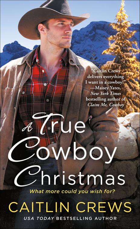 A True Cowboy Christmas, Cold River Ranch