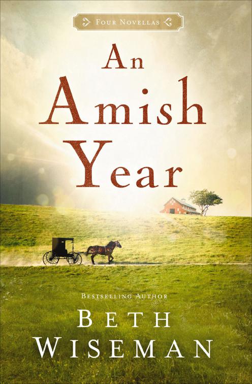 Amish Year