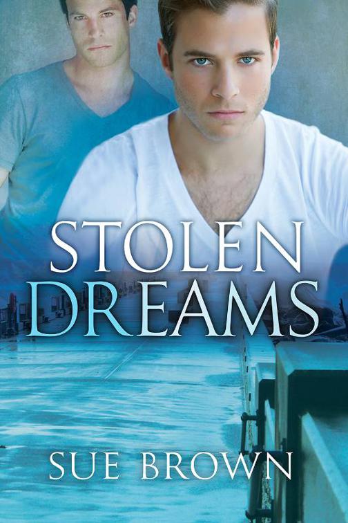 This image is the cover for the book Stolen Dreams