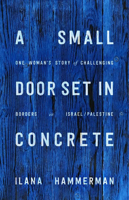 Small Door Set in Concrete