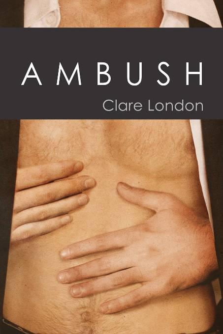 This image is the cover for the book Ambush, True Colors