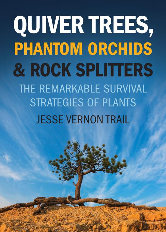 Quiver Trees, Phantom Orchids &amp; Rock Splitters