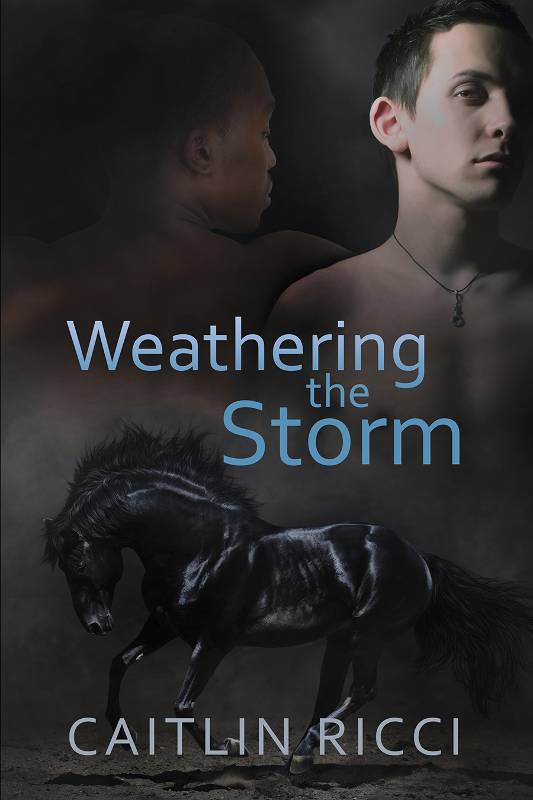 This image is the cover for the book Weathering the Storm, Robbie & Sam