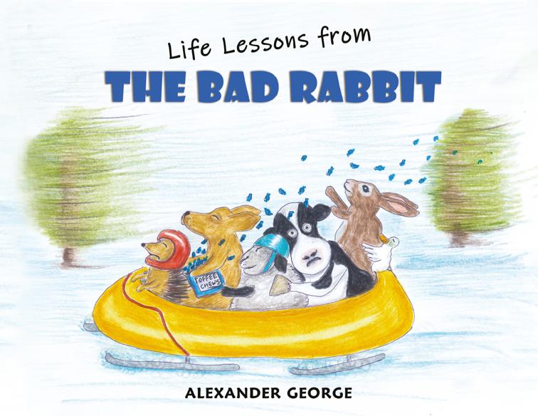 This image is the cover for the book Life Lessons from the Bad Rabbit