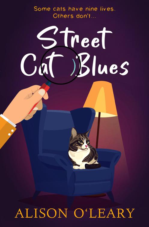 Street Cat Blues, Cat Noir