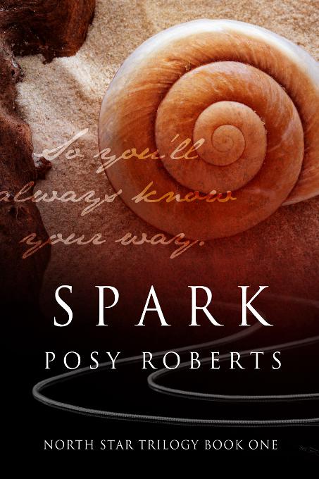 This image is the cover for the book Spark, North Star