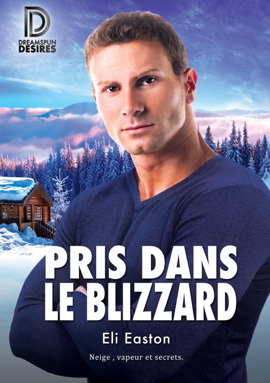 This image is the cover for the book Pris dans le blizzard, Dreamspun Desires (Français)