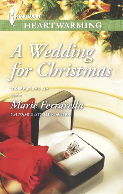 Wedding for Christmas