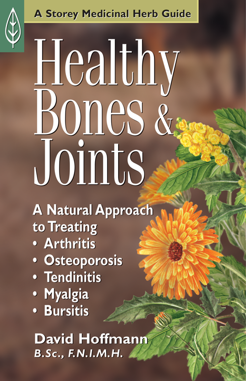 Healthy Bones &amp; Joints