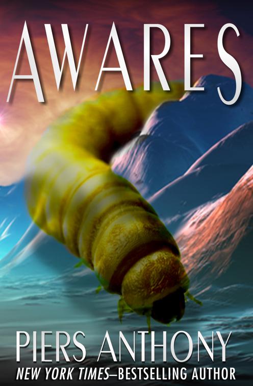 This image is the cover for the book Awares, Metal Maiden
