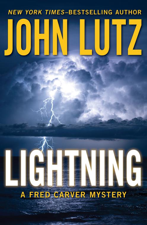 Lightning, The Fred Carver Mysteries
