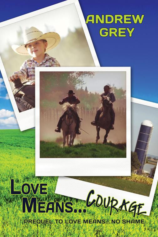 Love Means... Courage, Love Means... Series
