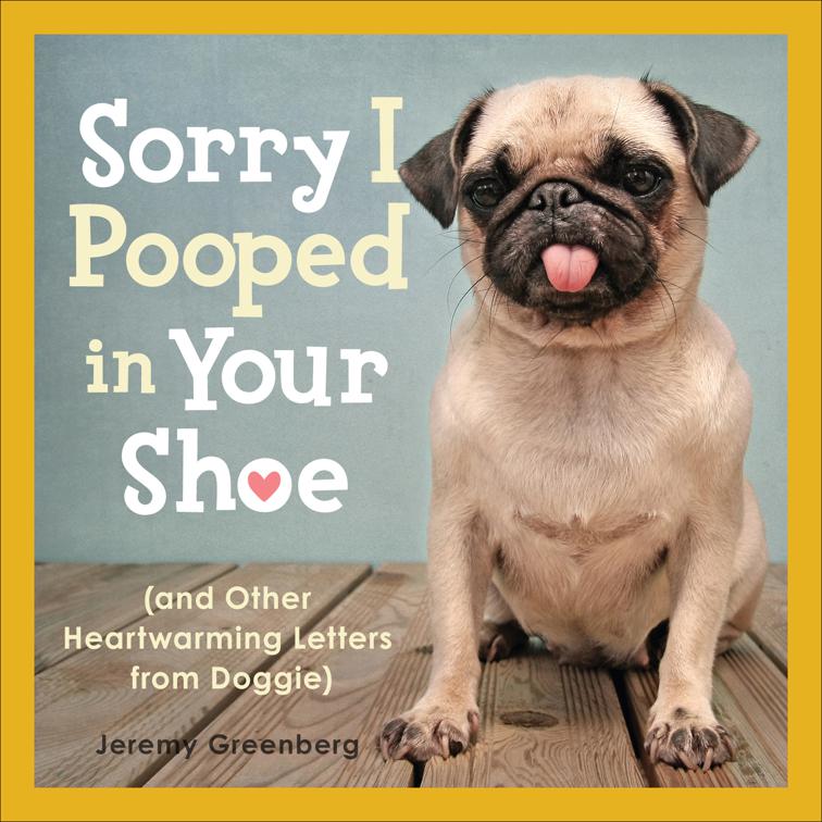 Sorry I Pooped in Your Shoe