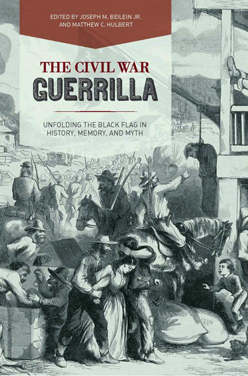 Civil War Guerrilla, New Directions in Southern History