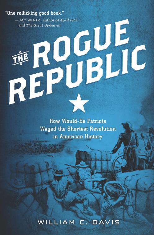 Rogue Republic