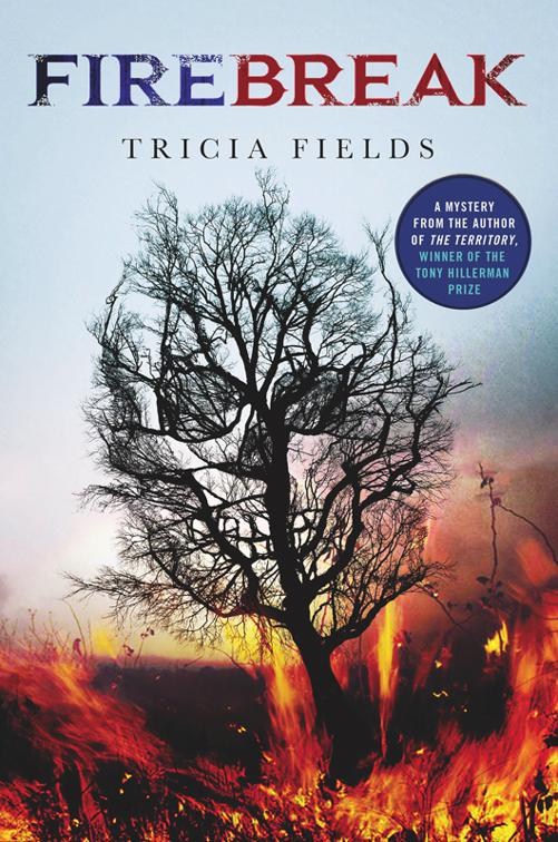 Firebreak, Josie Gray Mysteries