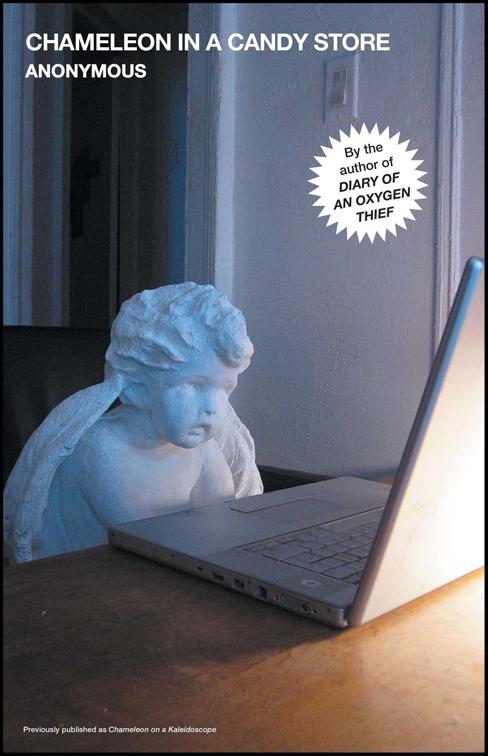 Chameleon in a Candy Store, The Oxygen Thief Diaries