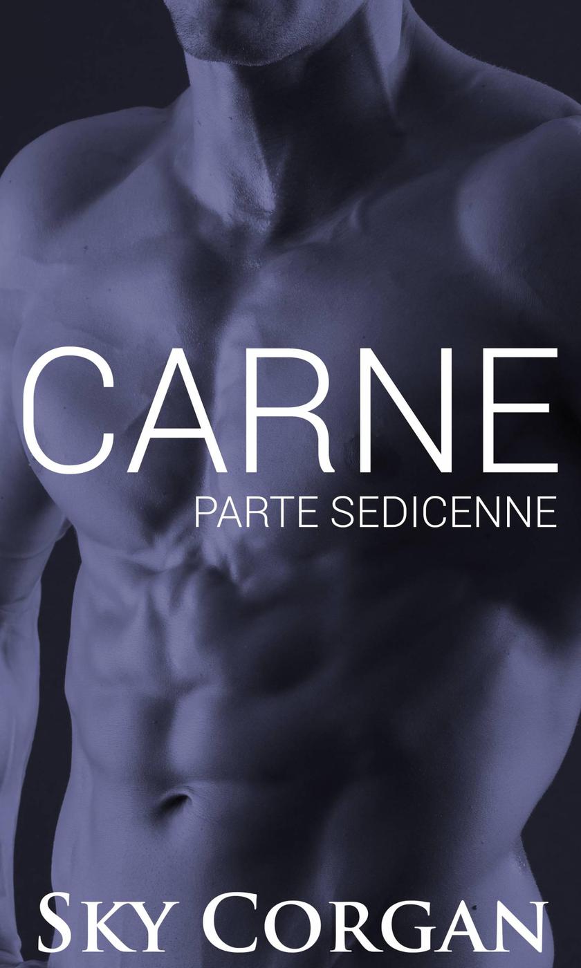 This image is the cover for the book Carne: Parte Sedicenne