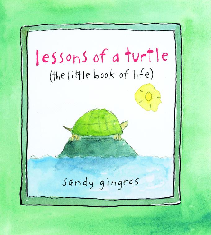 Lessons of a Turtle