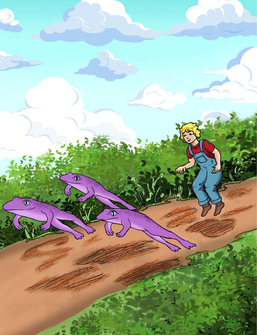 This image is the cover for the book Three Purple Frogs