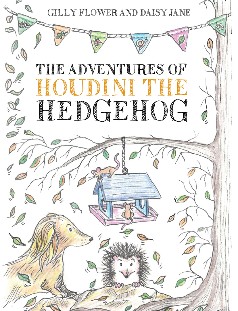 This image is the cover for the book The Adventures of Houdini the Hedgehog