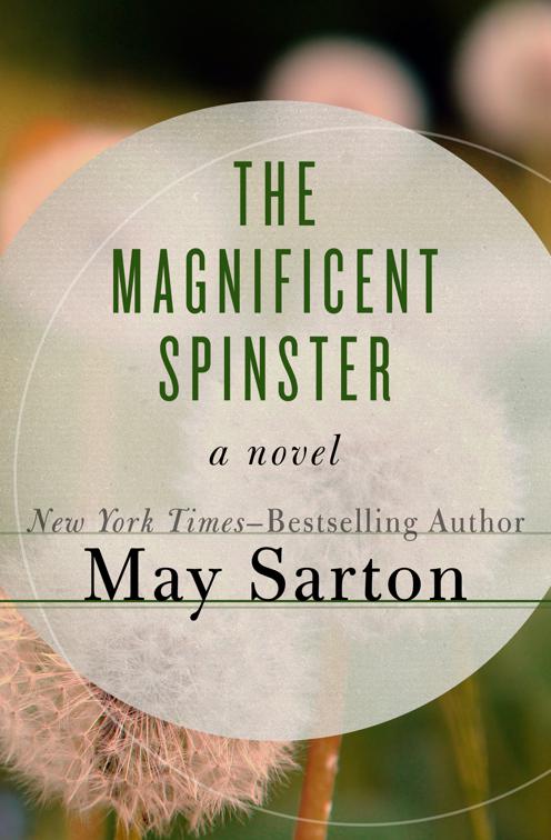 Magnificent Spinster