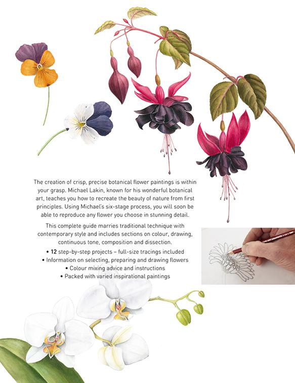 Beginner&#x27;s Guide to Botanical Flower Painting