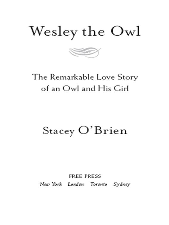 Wesley the Owl