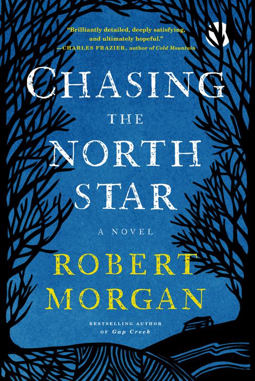 Chasing the North Star