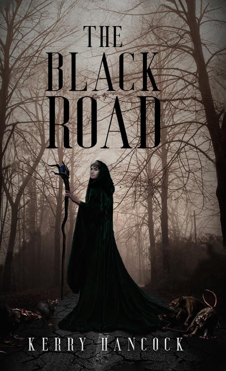 This image is the cover for the book The Black Road