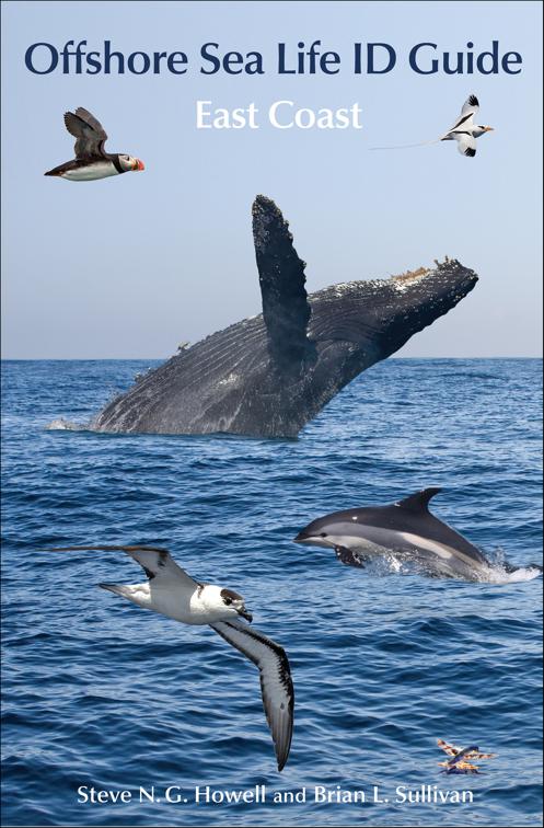 Offshore Sea Life ID Guide: East Coast, Princeton Field Guides