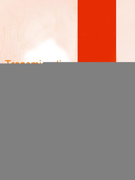 Transmigration: Ugly Doctress, Volume 1