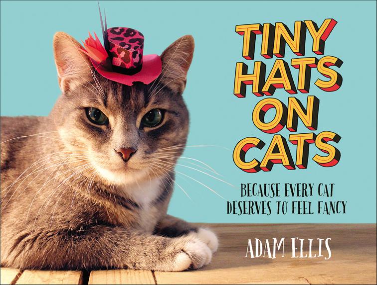 Tiny Hats on Cats