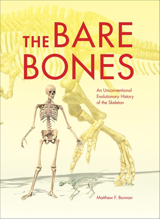 Bare Bones, Life of the Past