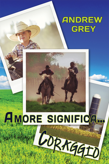 Amore Significa… Coraggio, Serie Amore Significa…