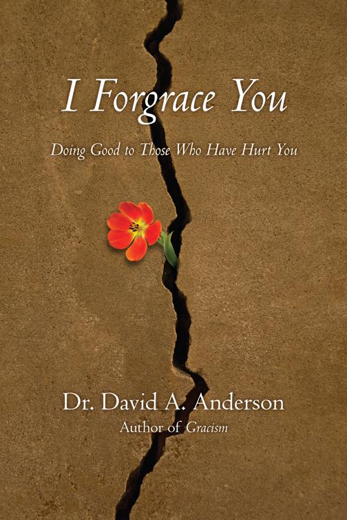 I Forgrace You, BridgeLeader Books