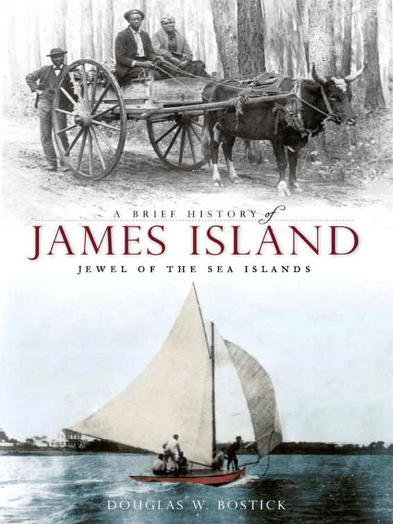 This image is the cover for the book Brief History of James Island: Jewel of the Sea Islands, Brief History