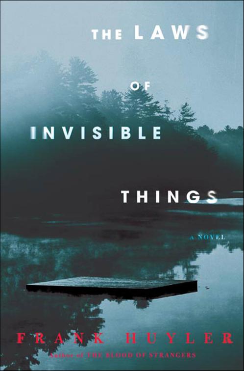 Laws of Invisible Things
