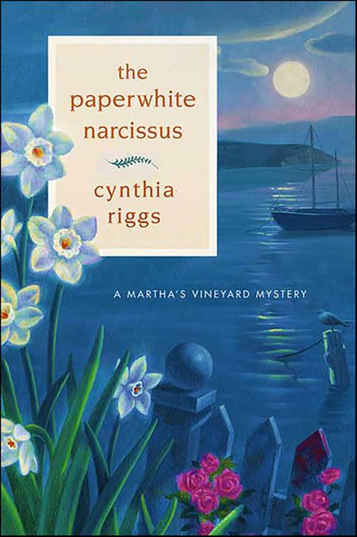Paperwhite Narcissus, Martha&#x27;s Vineyard Mysteries