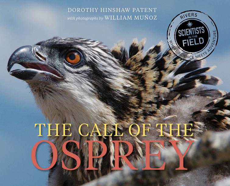 This image is the cover for the book Call of the Osprey, Scientists in the Field