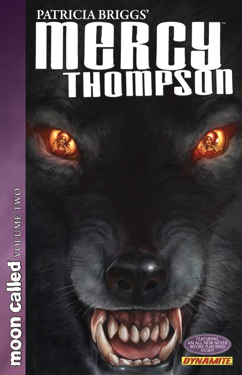 Patricia Briggs&#x27; Mercy Thompson: Moon Called Vol. 2