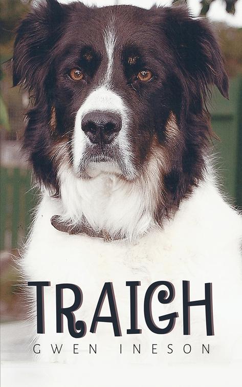 Traigh