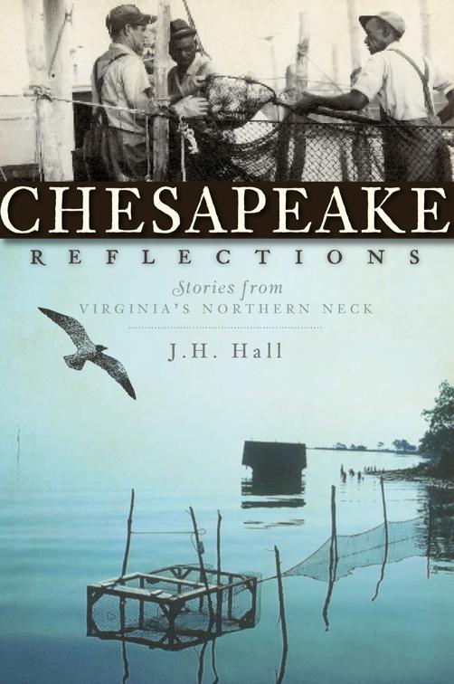 Chesapeake Reflections