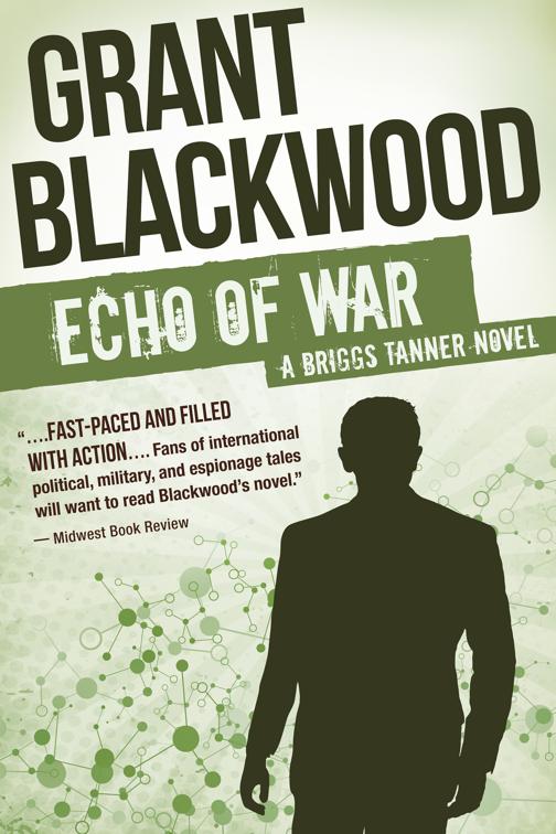 Echo of War, The Briggs Tanner Novels