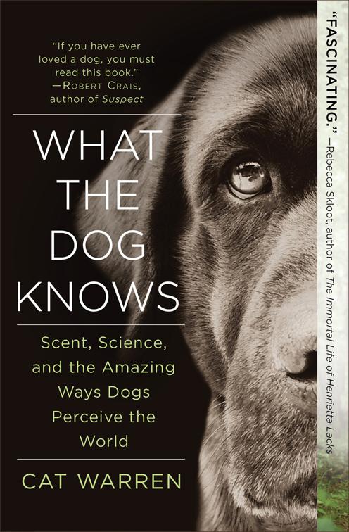 What the Dog Knows
