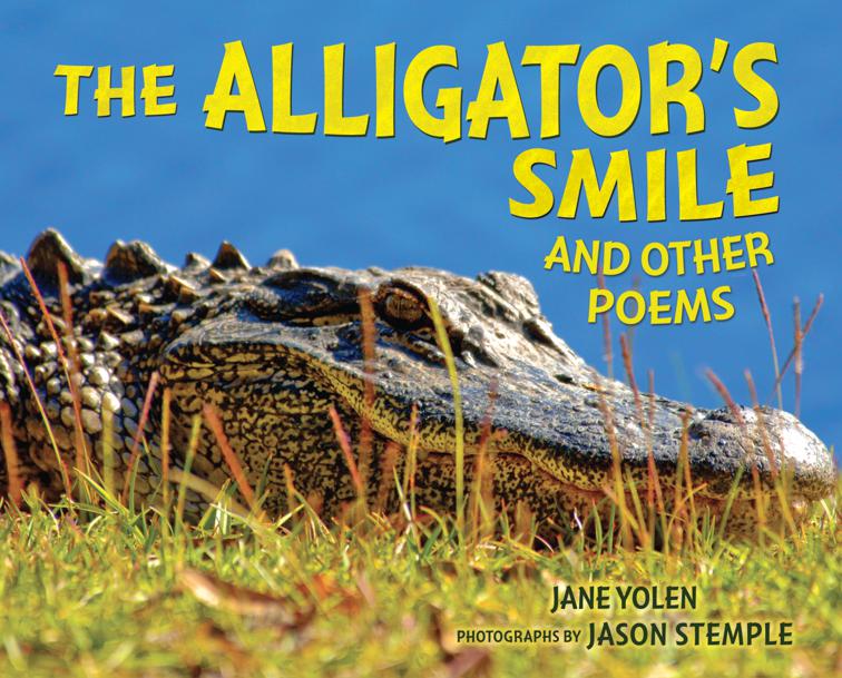 Alligator&#x27;s Smile